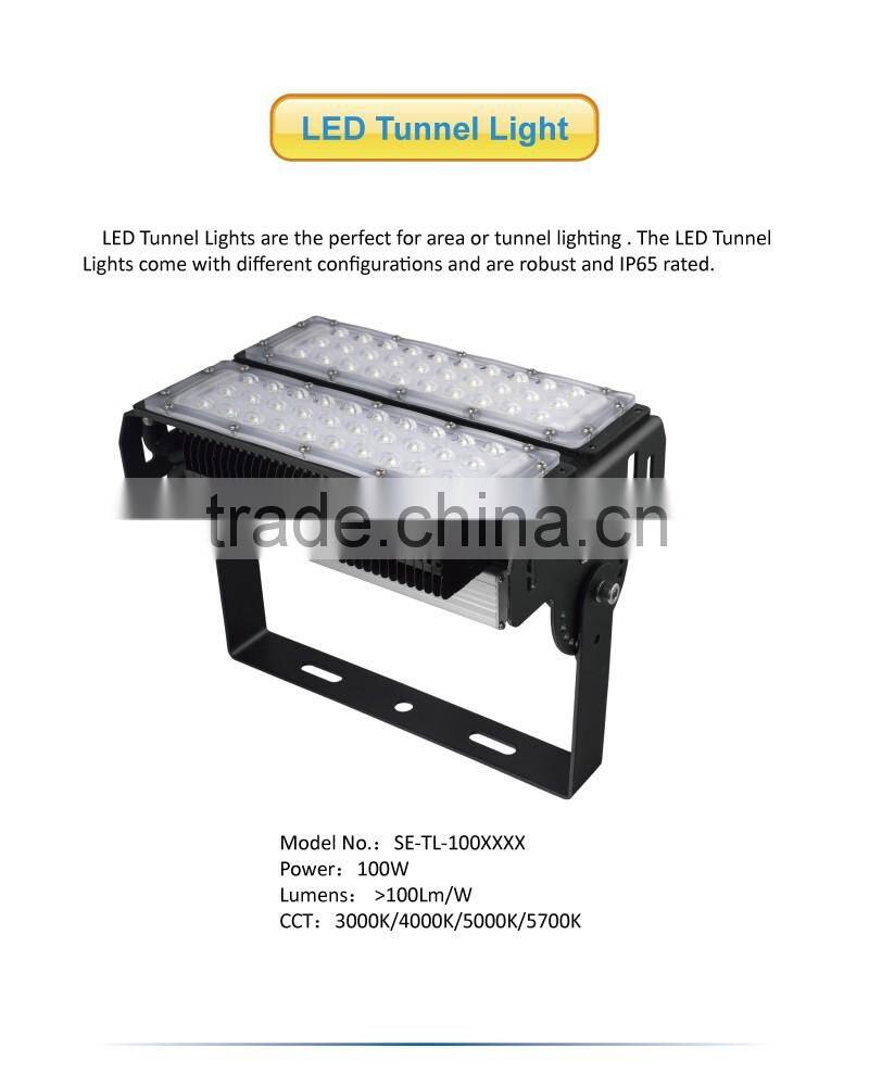 New arrival module outdoor lighting led tunnel light 100W with MeanWell driver