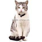 Live Cat Trap Cage HD560185