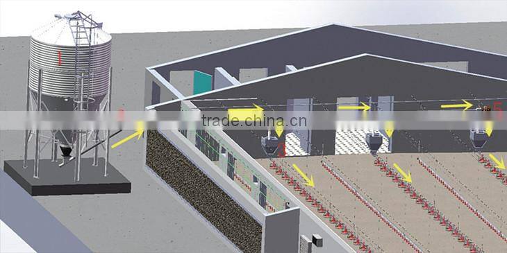 automatic broiler feeding system galvanized poultry feed silo for sale