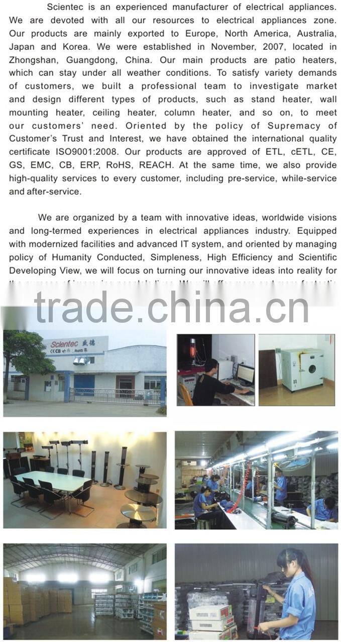 Living Room,Bedroom,Garden,Bathroom Use Quartz Freestanding Electric Heater With Remote Control