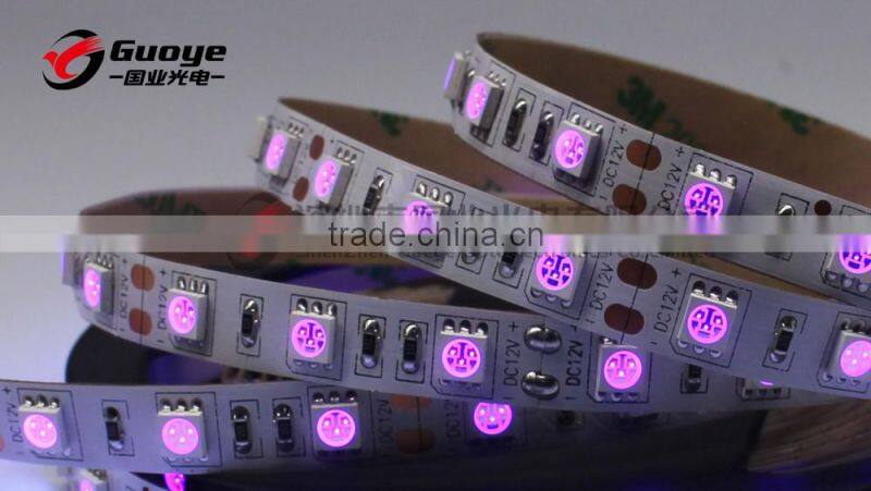 5050 SMD uv 395nm led strip with 60leds/m DC12V 24V voltage CE ROHS black light