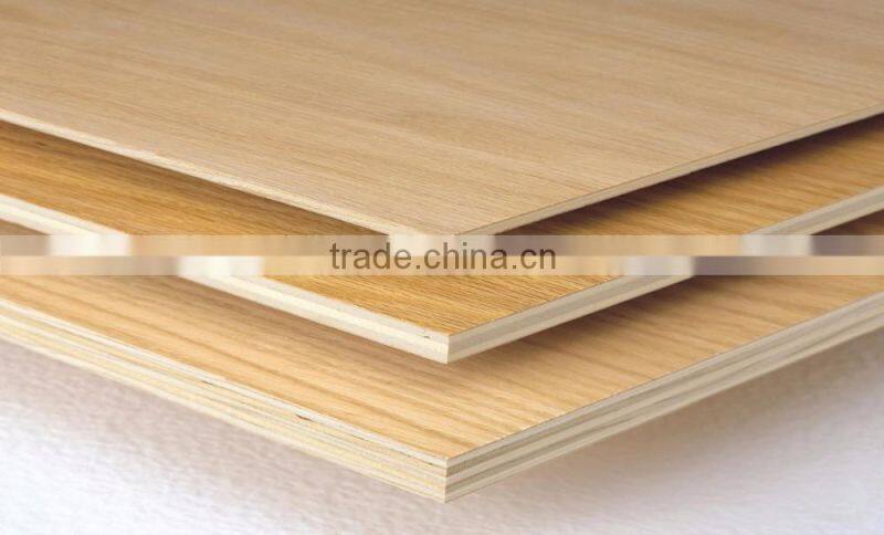 High quality Plywoods from Russia