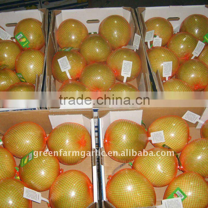 golden pomelo
