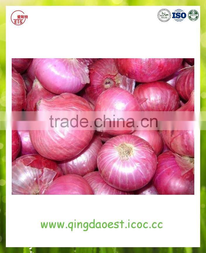Export china Fresh organic new crop red and yellow onion