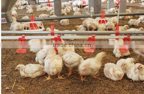 Automatic Poultry Environment Controller System