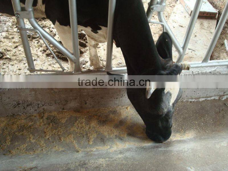 Hot Dipped Galvanized Fencing Panels for Head Locking