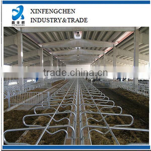 cow free stalls