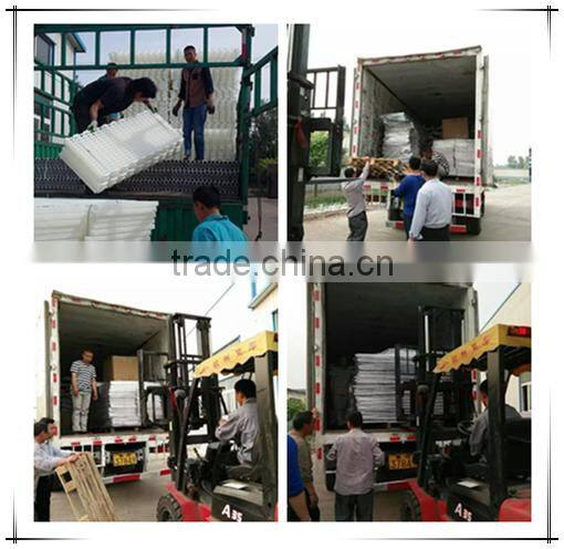 Plastic flat mesh for poultry