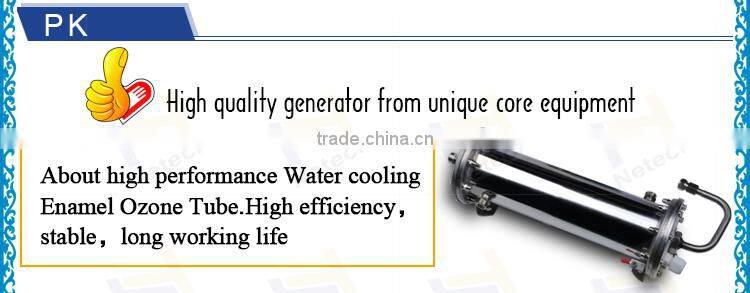10G 20G 30G 40G 50G Water purifier water treatment ozone generator