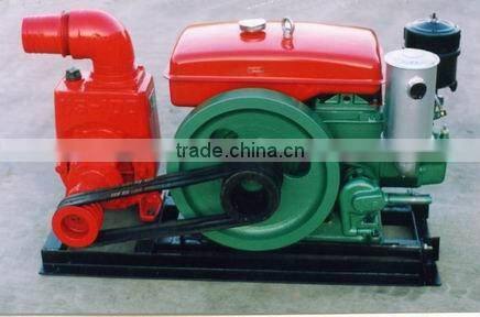 NS-100 watering or irrigation water pump