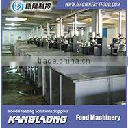 500Kg/H freeze dryer for freeze dried organic food