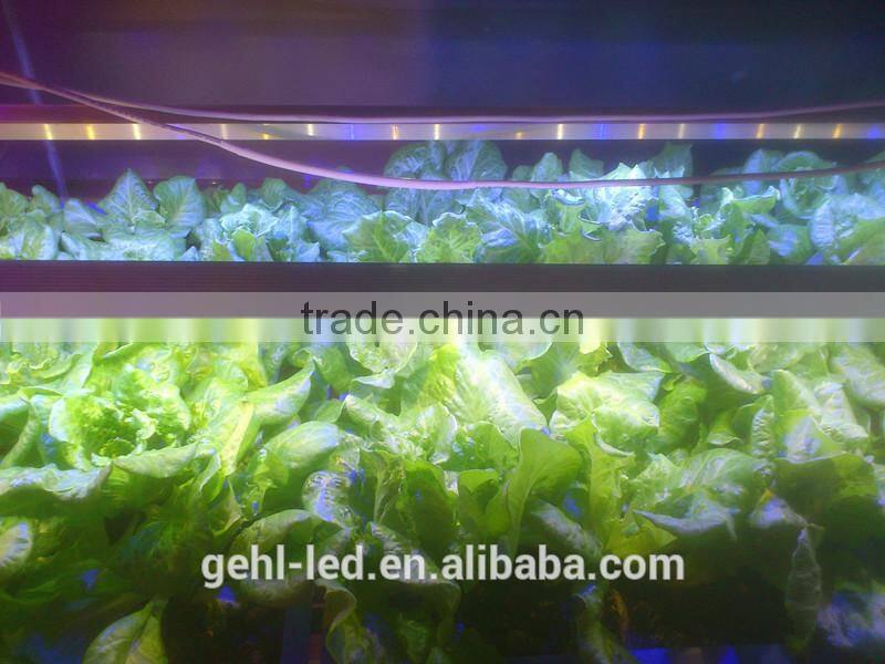 LED Grow Light Bar For indoor grow