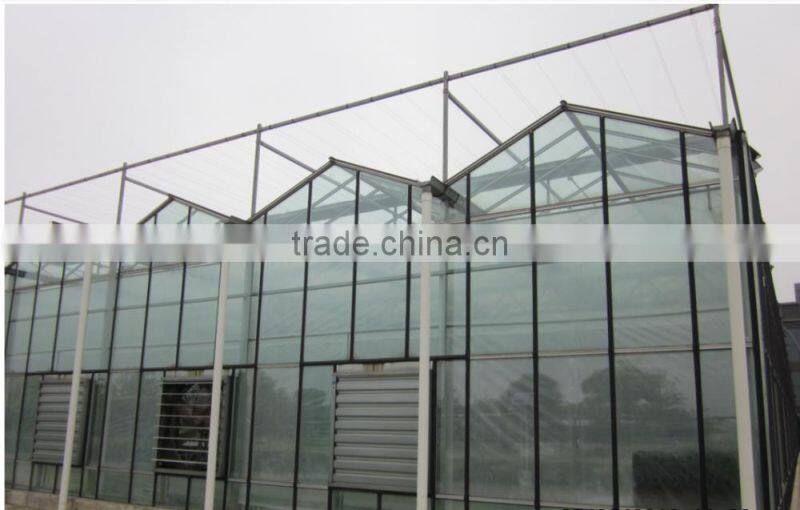 orchid greenhouse/glass greenhouse for sale/greenhouse agriculture
