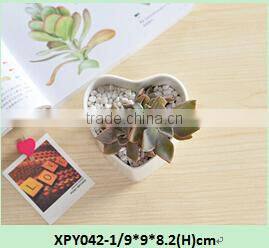 Indoor mini glazed white pottery planter for succulent