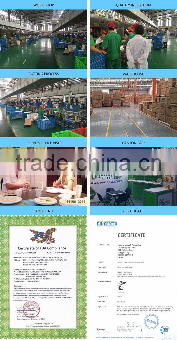 16oz-sugarcane bagasse cup with PLA lid 500ml-L