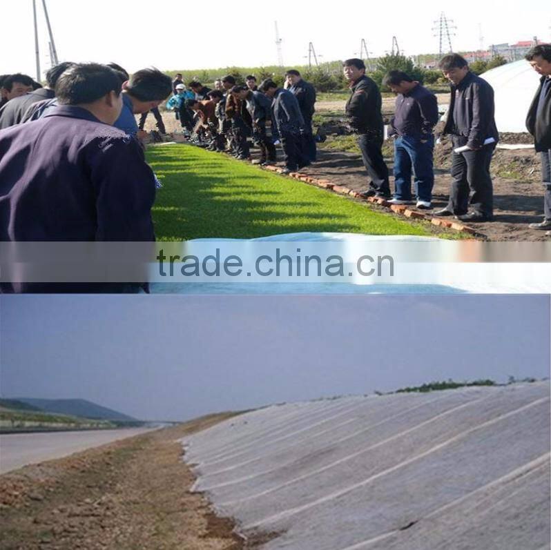 600g For reservoir and dam Continuous Filament needle punched non woven geotextile