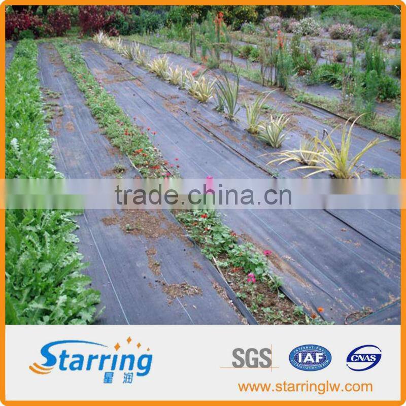 Farm Gardening Landscape Geotextile Fabric/Sheet/Roll