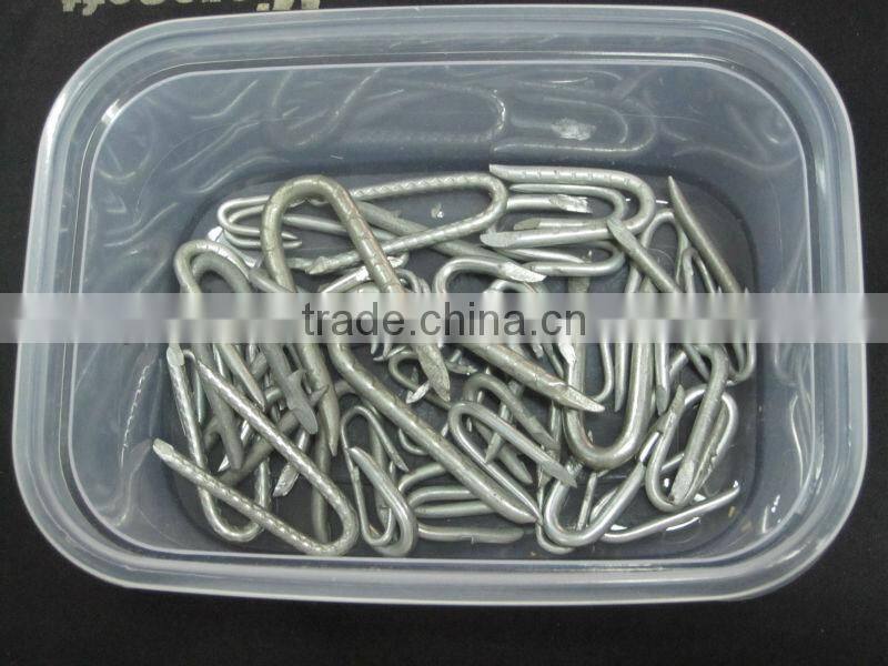 Fence Staples U Shape Nails