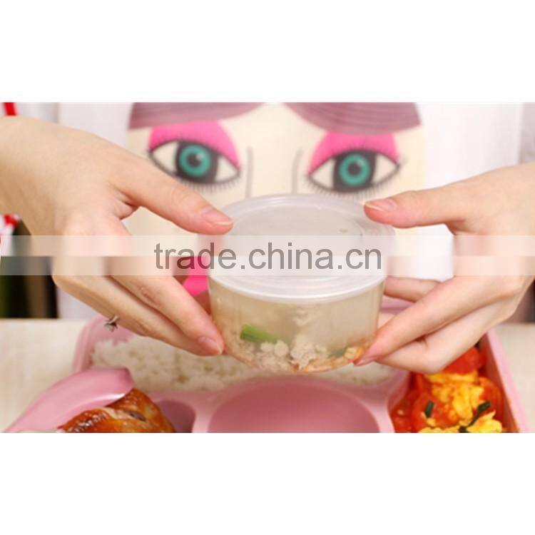 Plastic Lunch Box Bento Lunch Box for Kids