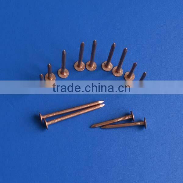 galvanized square boat nails