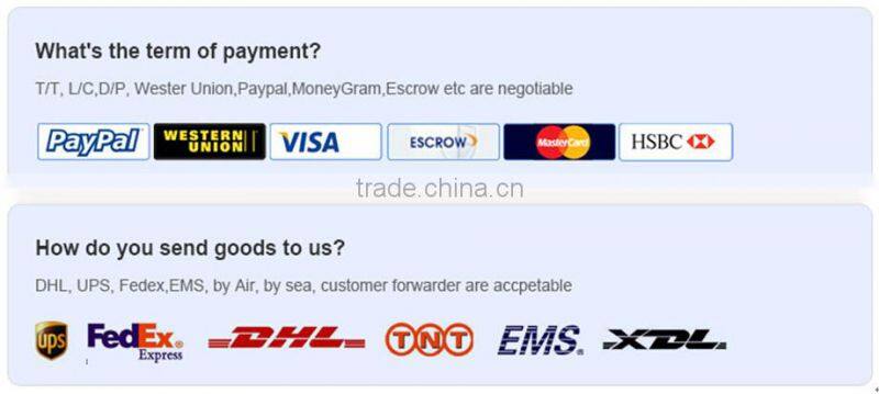 Professional Multi-Fuction Electric Hospital Nursing Care Bed