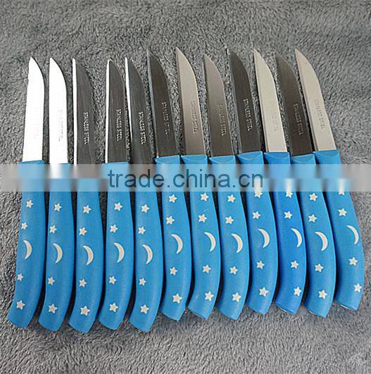 51010 12PCS STAINLESS STEEL fruit Knife Set