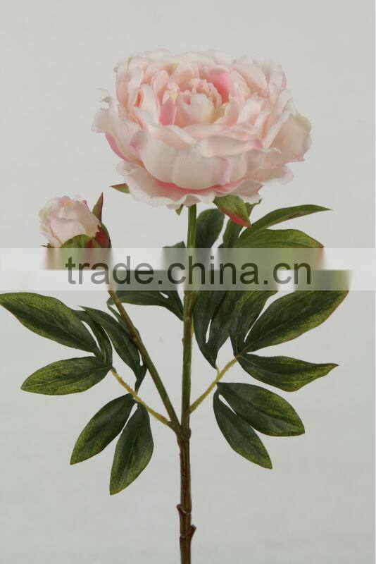 peony flower head flower 27749P