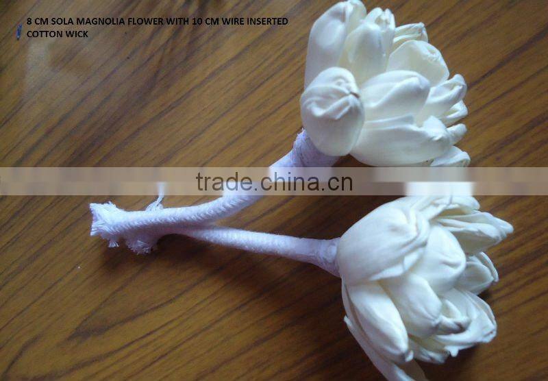 Sola Magnolia Flower