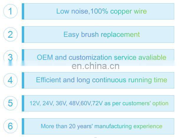 Permanent magnetic 24 V 0.8KW 3200RPM dc motor
