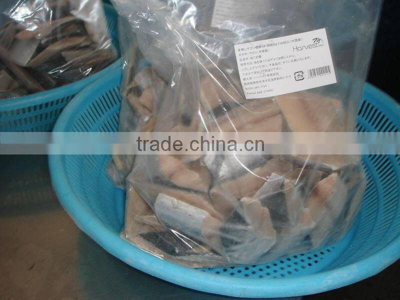 Frozen spanish mackerel fillets