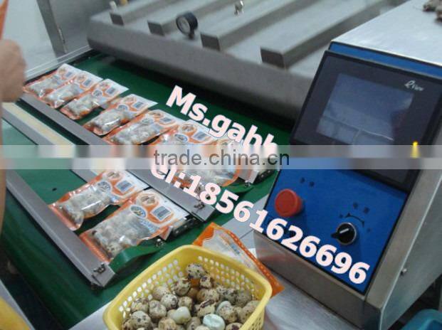 Vacuum Packing Machine /food vacuum package machine