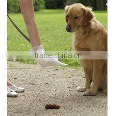 Dog Poop Removal