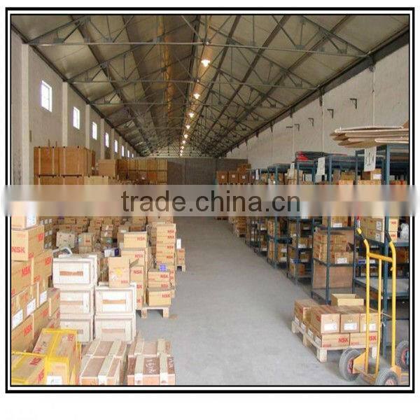 ss Self-aligning Ball Bearing S2206