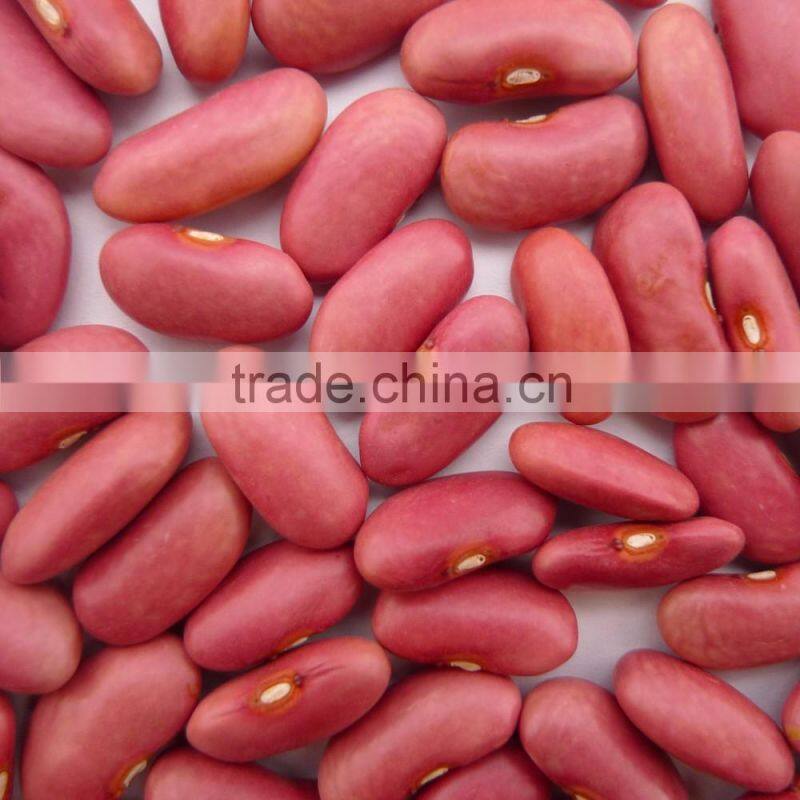 Private Label Organic Hulled Hemp Seed,Hemp Seeds,Shelled Hemp Seeds