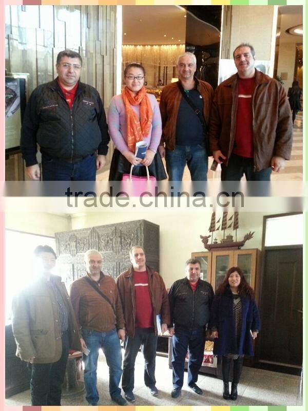 Cheap machine Longteng hammer crusher for mine