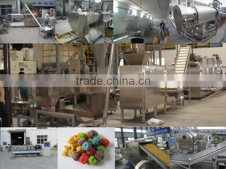 Breakfast Cereals/Corn Flakes Process Line