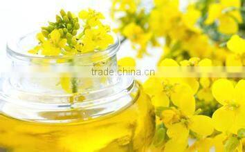 sunflower oil extraction machine
