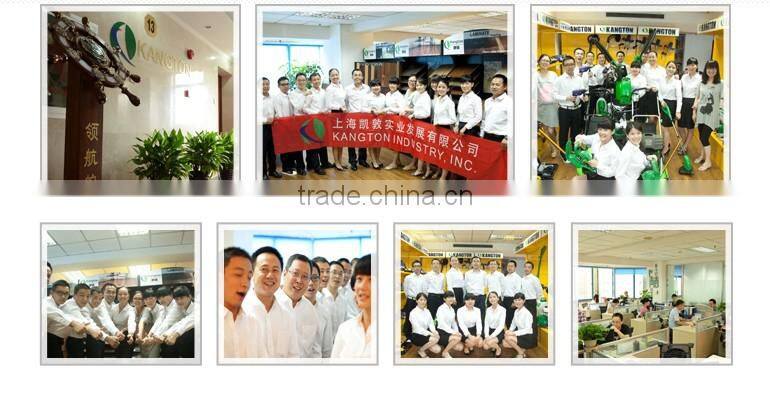 Fashionable Indoor anti slip wood like luxury Vinyl Flooring