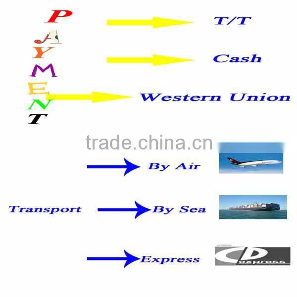 High Quality Wheel Hub Bearing 42200-SNC-951