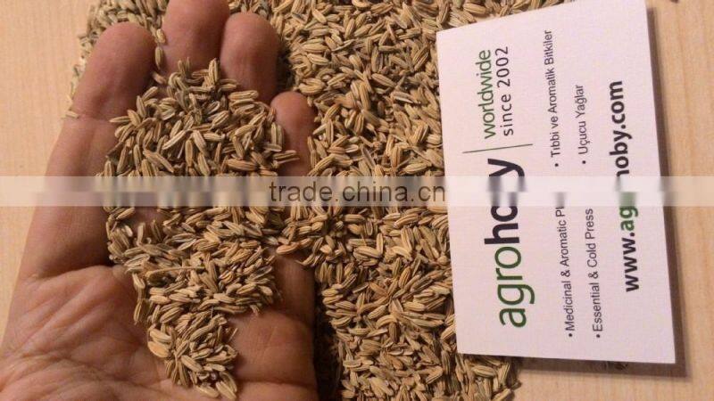 Turkish origin Fennel Seed factory