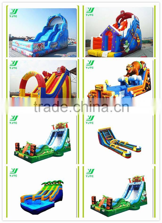 New Giant Inflatable Slide Inflatable Dry Slide Bouncy Castle