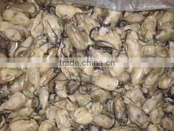wholesale frzoen oyster meat
