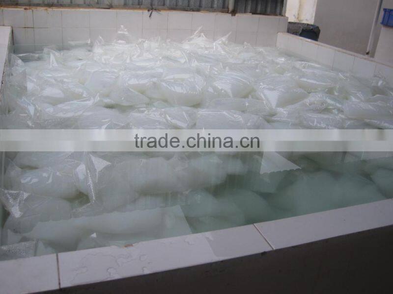 Raw Nata De Coco