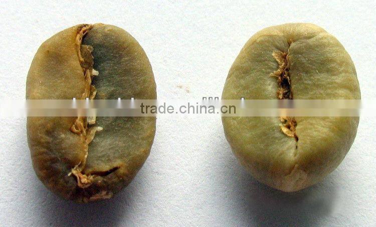 GMP Factory Supply Natural Green Coffee Bean Extract
