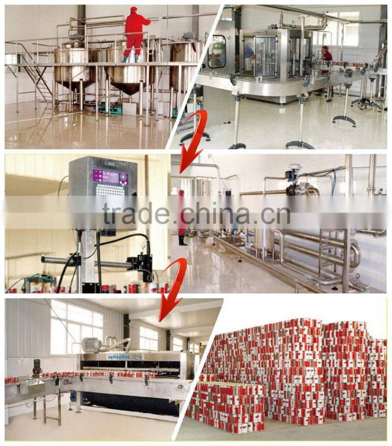 70g Sachet Tomato Paste