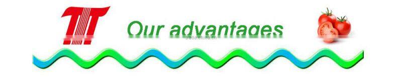 70 g sachet tomato paste in box and in carton