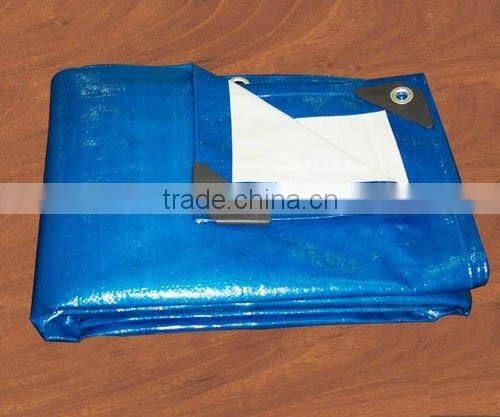 PE fabric both sides laminated