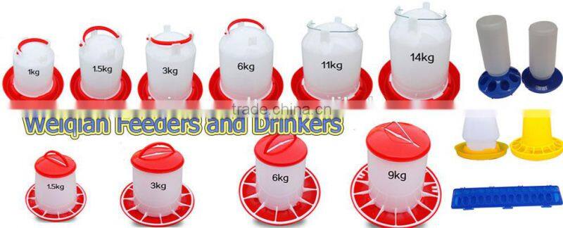 plastic bird/pigeon feeder