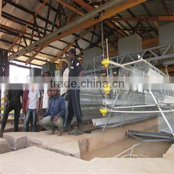 Alibaba express used poultry equipment for sale