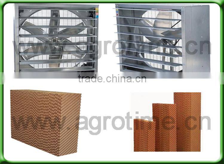 desert rose growing greenhouse for sale in China